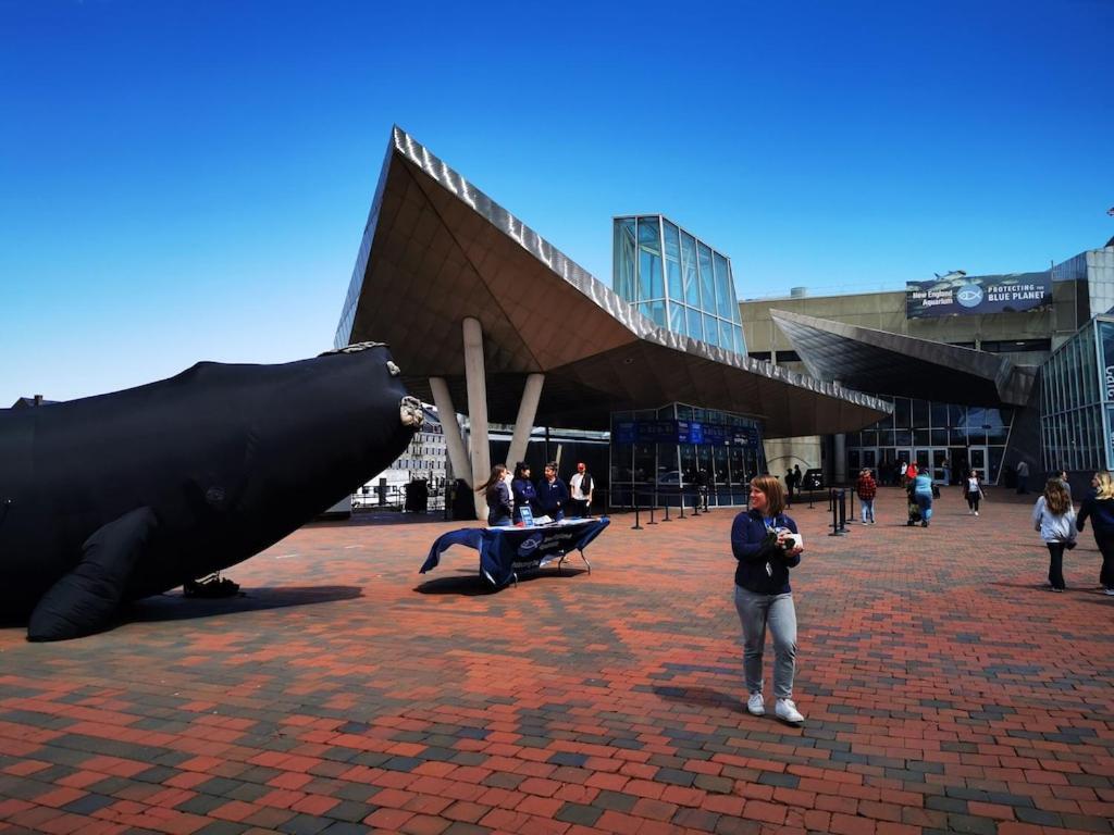 Location+Comfort+Convenience Boston Ngoại thất bức ảnh